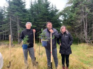 Tom Davis planting tree on National Tree Day